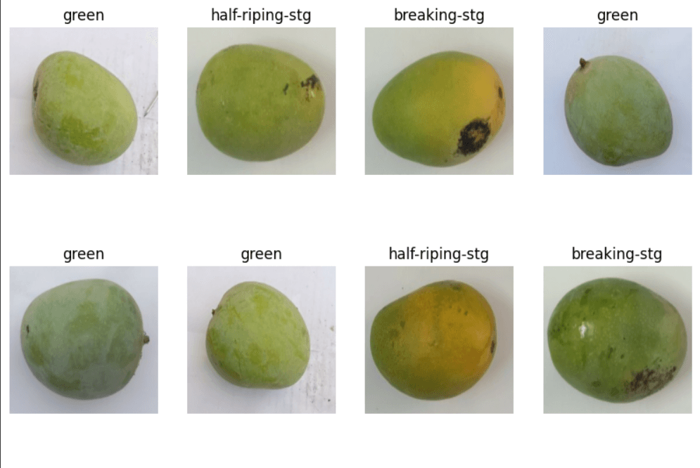 mango
